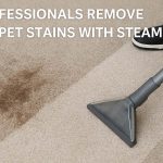 How Professionals Remove Carpet Stains with Steam