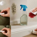 How to Remove Seven Common Stains in Your Home