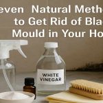 Black Mould in Your Home: 7 Natural Removal Methods