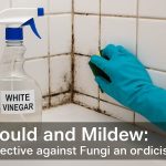 Mould and Mildew: White Vinegar as a Natural Cleaner