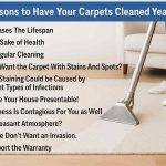 Ten Reasons to Have Your Carpets Cleaned Year Round