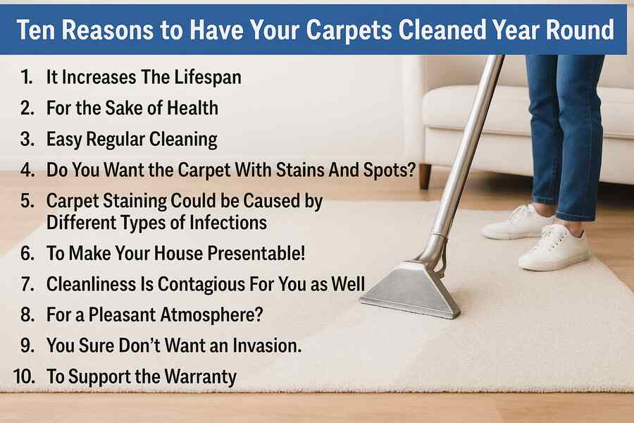Ten Reasons to Have Your Carpets Cleaned Year Round